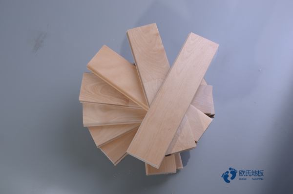 常用運(yùn)動(dòng)地板行業(yè)品牌1