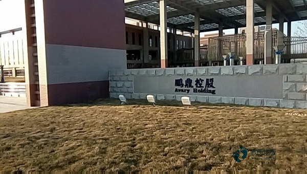 懸浮式運動木地板用途