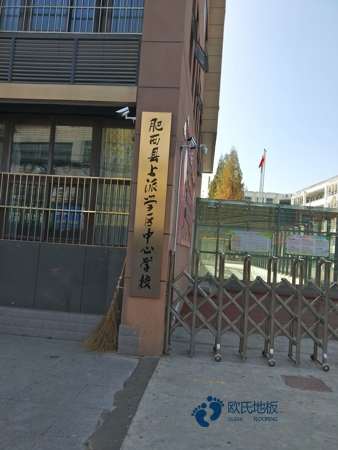 20厚體育運(yùn)動(dòng)木地板品牌1