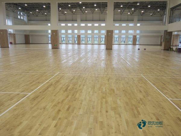 懸浮式運動木地板清潔養護