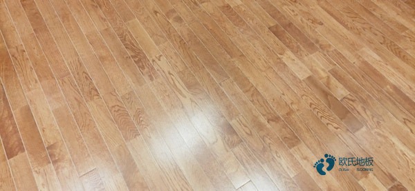 中等籃球木地板價目表