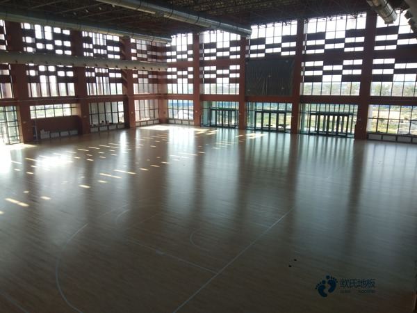 運(yùn)動木地板較低價(jià)格3
